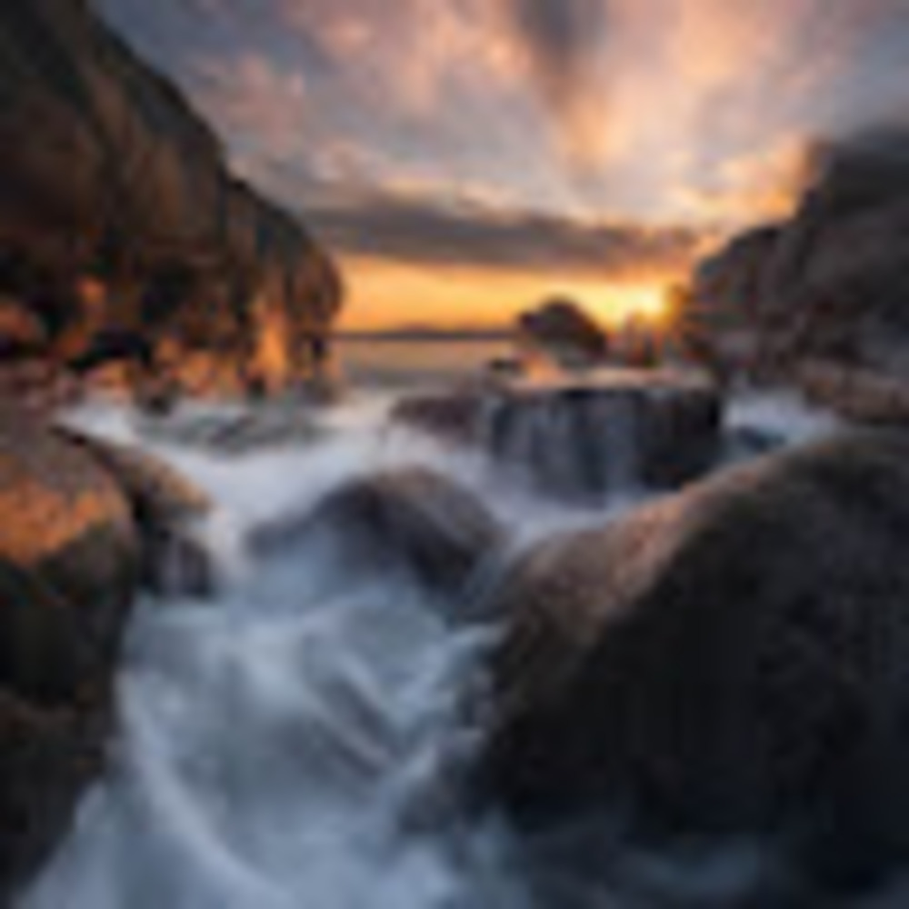 Meet your Posher, Maia